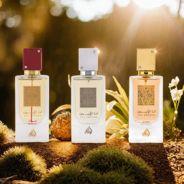 ANA ABIYEDH COLLECTION